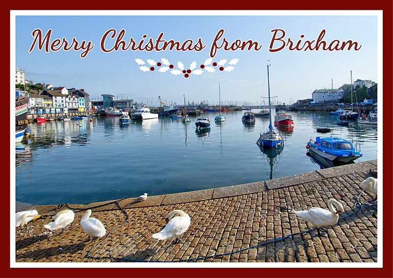 Sold out XM053 - Swans at Brixham Harbour - XMAS CARDS  Brixham