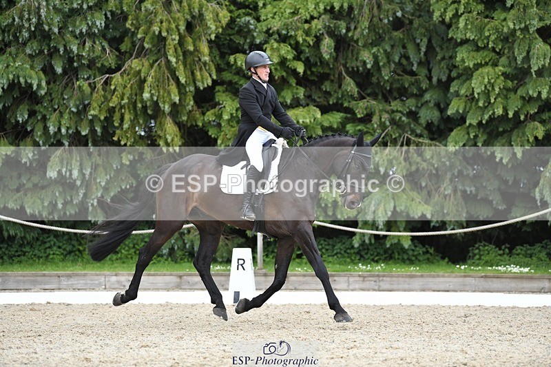 230525-141343-03112 - 319-RINGFORT_REVE_DU_MOULIN-Andrew_Downes-WEDTrotUp+DR