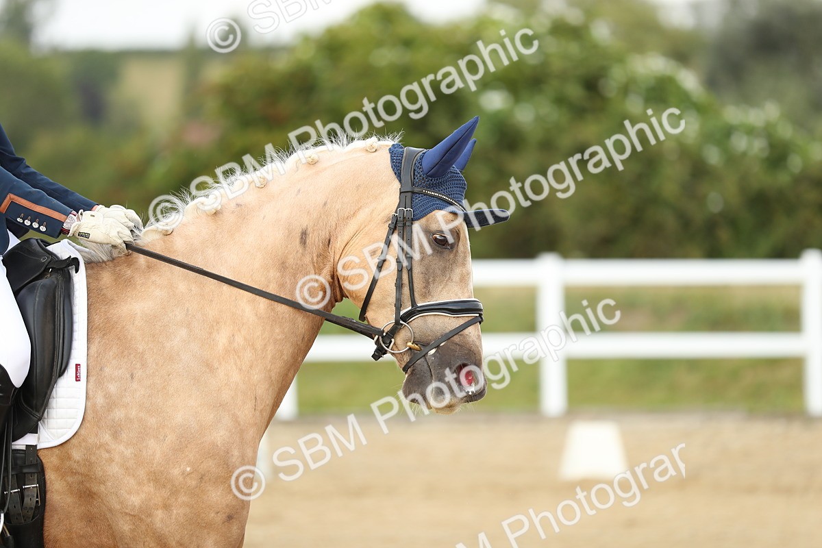SBM_018500 - Class 14 - Novice 23 - 15.16-16.19