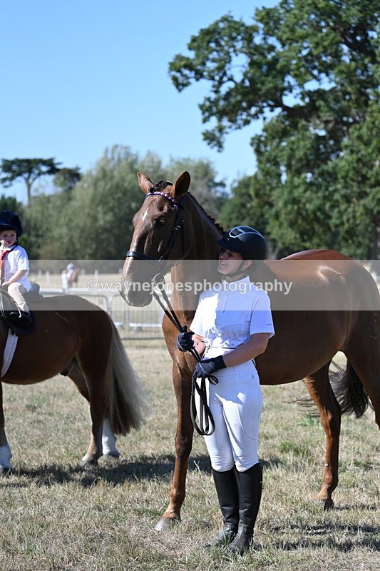 WJ7_1609 - Class 42 Most Handsome Gelding