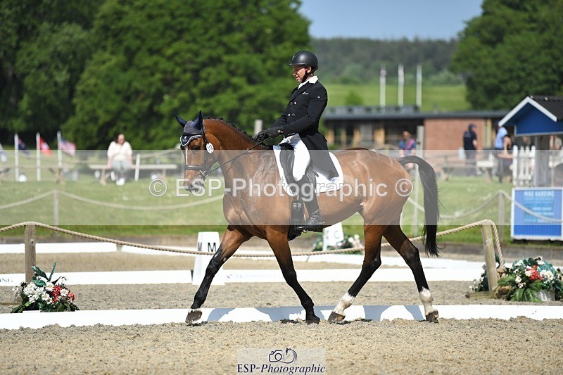 230525-102417-01701 - 312-J'ADORE_SALSA-Michael_Owen-WEDTrotUp+DR