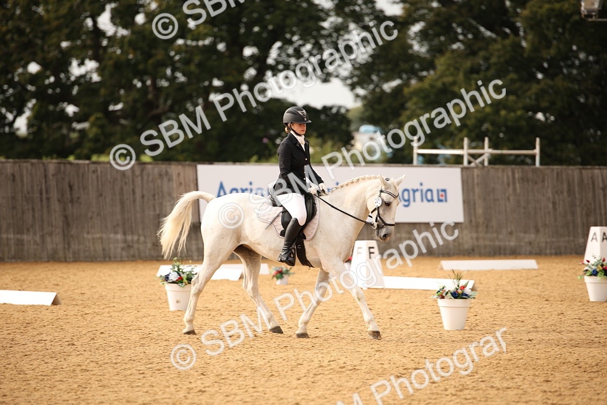 SBM_12322 - D3 Small  Tour Championship Intro A