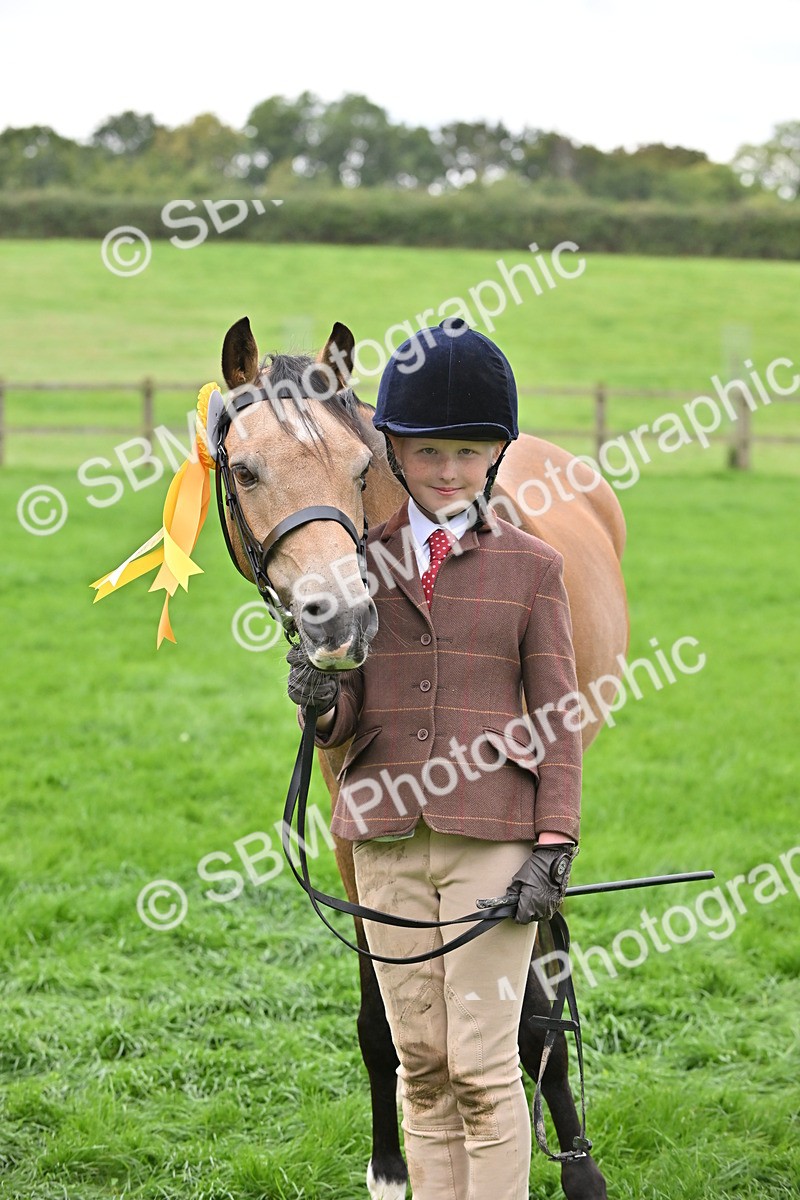 SBM_61093 - S48 - Mountain & Moorland In Hand Small Breeds