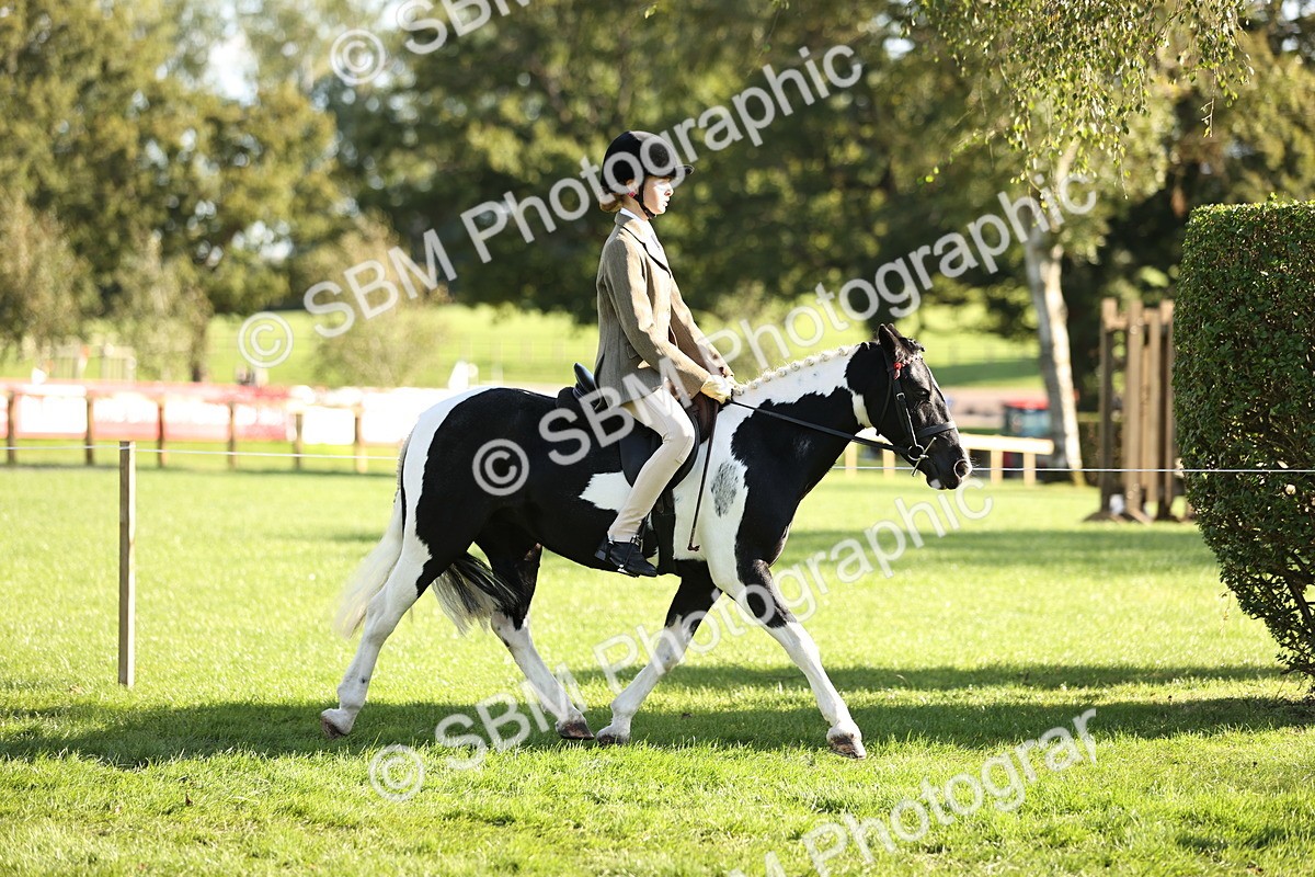 SBM_29343 - S7 - Novice & Newcomers Ridden Pony
