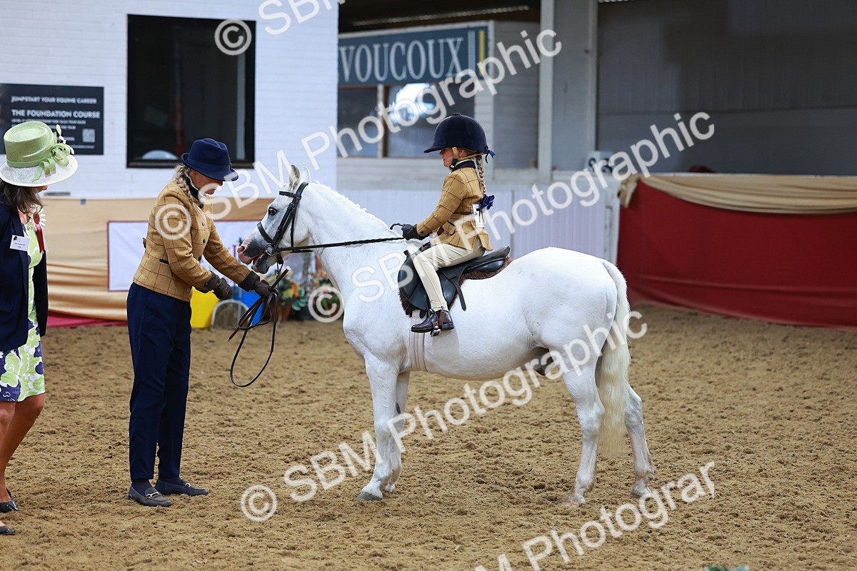 SBM_07724 - Class 101 - HOYS Veteran Qualifier - Ridden Diamond