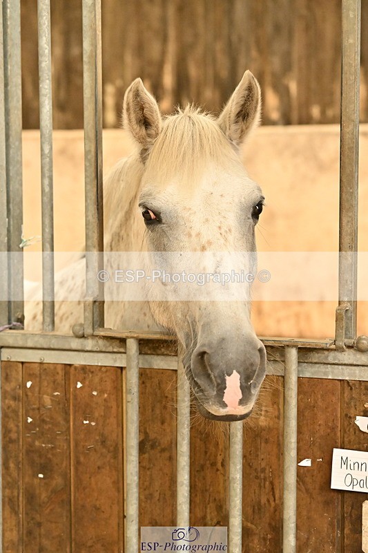 250821B-141010-00488 - Stable Shots and Group Photo