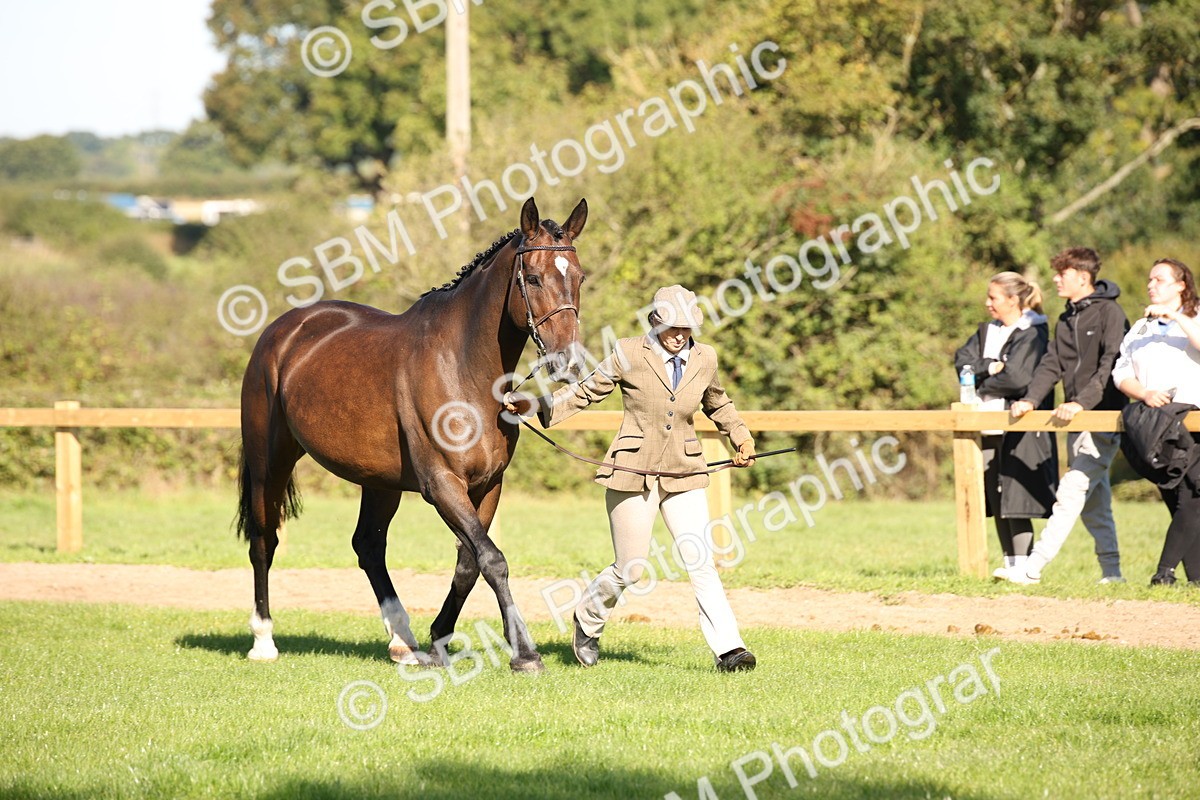 SBM_36576 - S10 - Best In Hand Horse & Pony