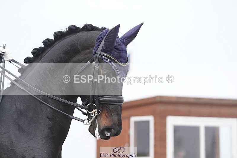 250404-083458-03789 - 069-India.Hamilton-Burnet-Kissingdale