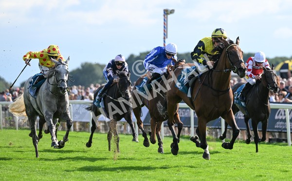 220825-211 Cape Flora - Race 5 4.10pm Assured Data Protection EBF Fillies' Handicap
