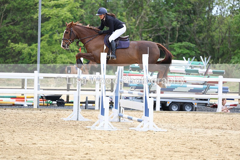 3E7A7489 - Class 8: Senior Foxhunter/1.20 open