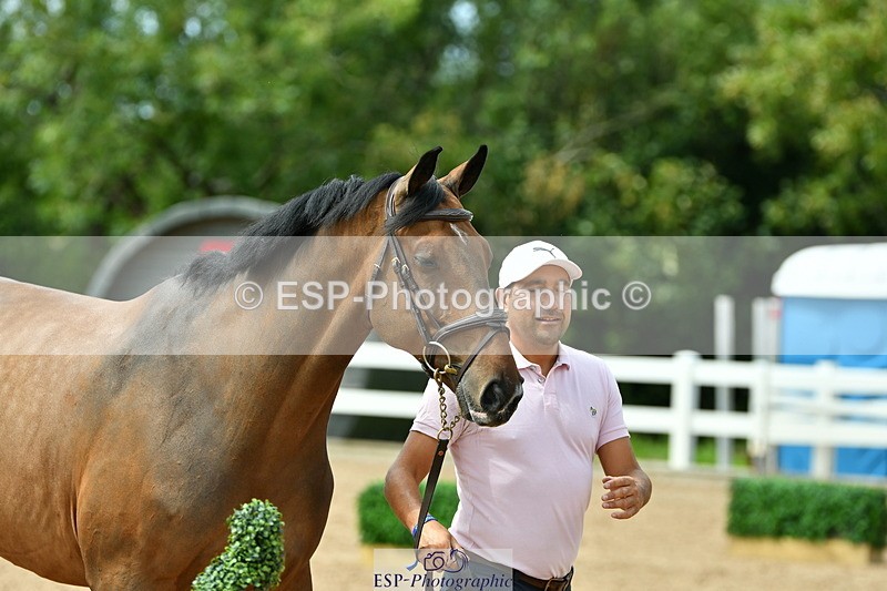 230719A-150536-00754 - Trot Up 3pm to 4pm