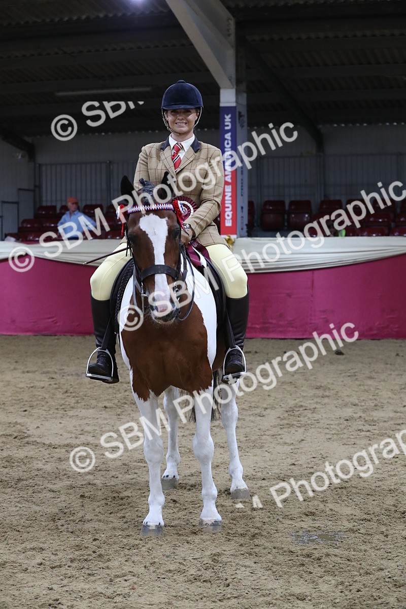SBM_08477 - Class 11R Regional Ridden Veteran