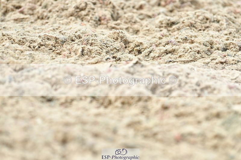 230702A-145438-10806 - Cls 32 Medium 73