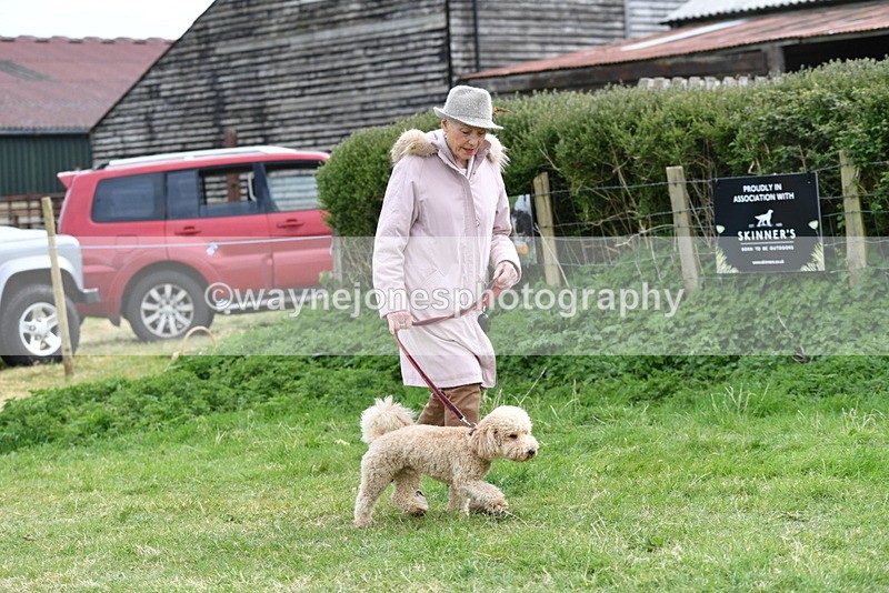 WJ5_9141 - Class 1 Best Cross Breed / Heniz 57