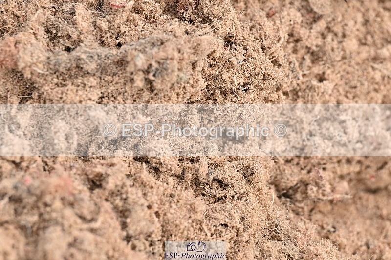 260819-115223-00405 - Cls 3 Discovery and 1m