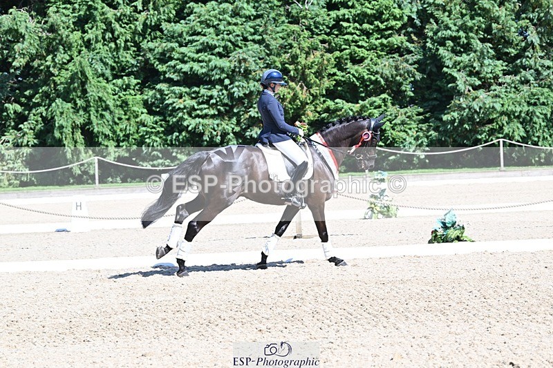 240811-153507-06673 - Adv Medium Gold