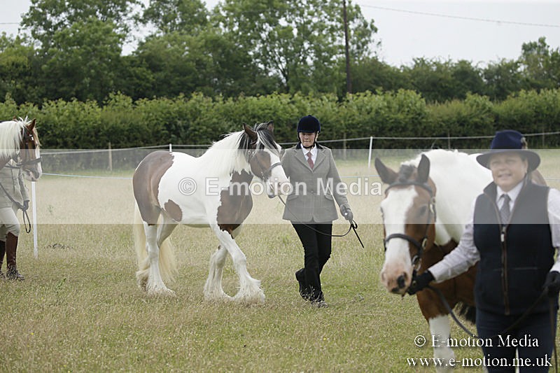 B230619-0692 - Bourne Valley Riding Club Summer Show 23/06/19
