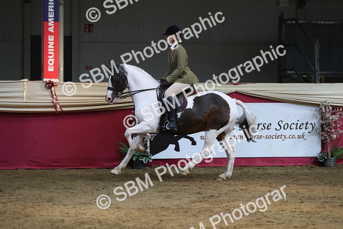 SBM_08355 - Class 11R Regional Ridden Veteran