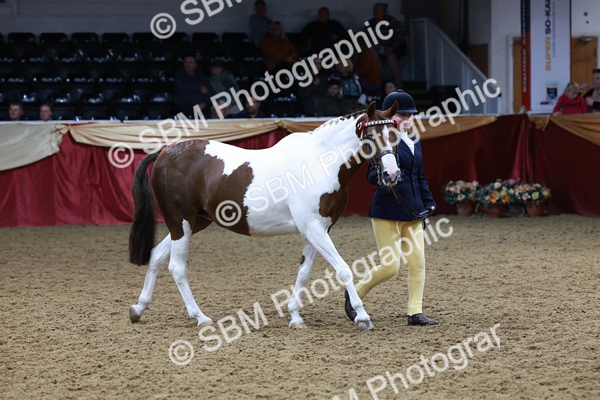 SBM_20105 - Class C - Novalty Champ