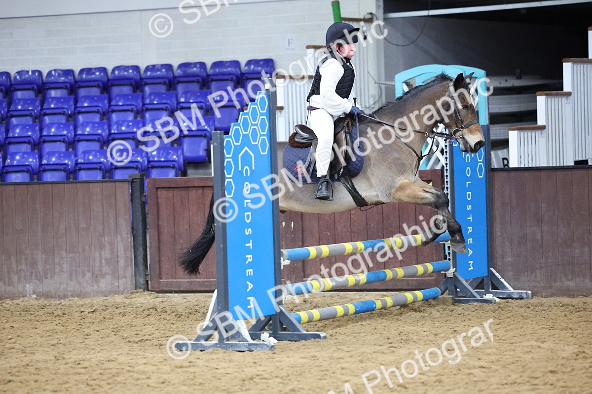 SBM_001056 - Class 3 - Christmas Tree Stakes - 60cm