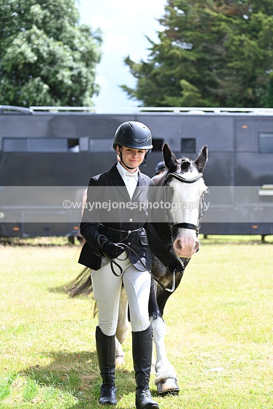 WJ7_6881 - Class 5a Most Handsome Gelding in Hand