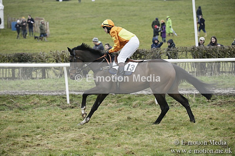 PtP 020418 -118 - Old Berks Point-to-Point Races Easter Monday 02/04/18