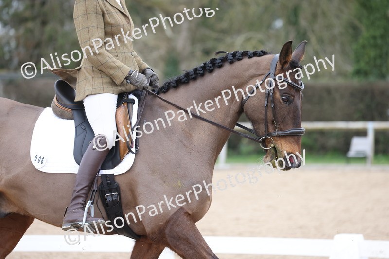 20260301-0321 - Class 3 - Novice 4