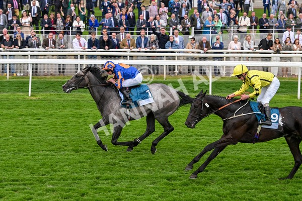 160524-Race 7-London City-6881 - Race 7 5.20pm Collective Green Energy Handicap