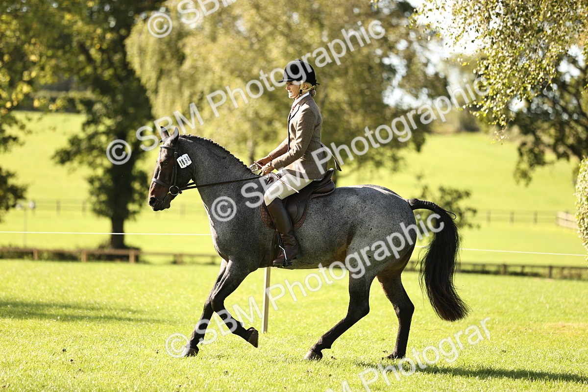 SBM_16972 - S2 - TSR Ridden Pony Showing