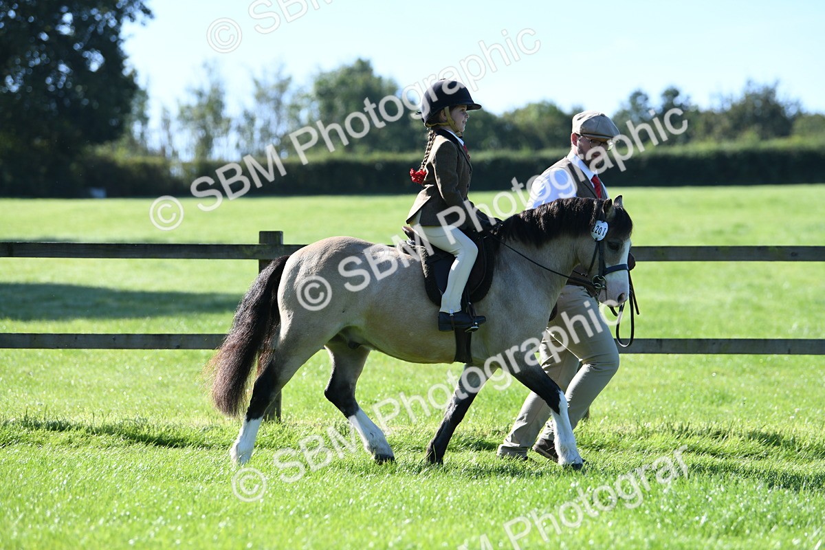 SBM_36760 - S18 - Novice & Newcomers Lead Rein Pony