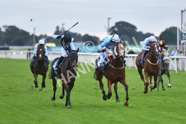 yr24092021r8-21 - Race 8 5.25pm William Hill Build Your Own Odds Apprentice Stakes
