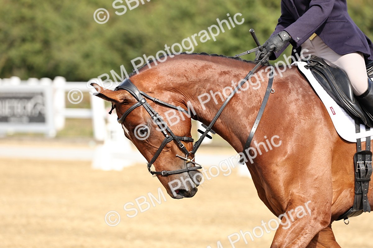 SBM_017438 - Class 12-14 - Intro 2-Prelim 5