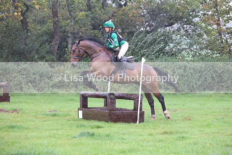 JPP_5415 - Class 4: 80cm: Crossed Logs