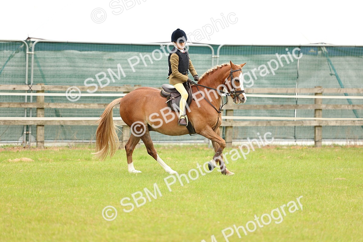 SBM_10243 - Class 44-45 - LIHS BSPS Open Nursery and Cradle Stakes
