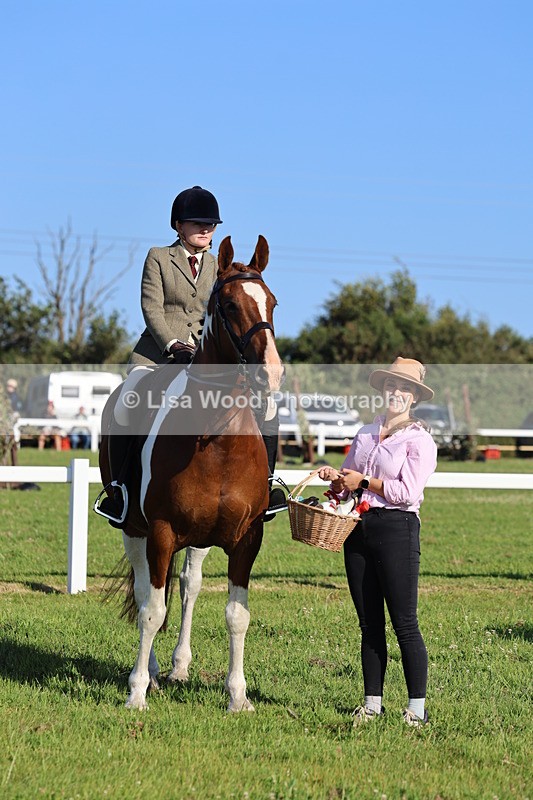 IMG_1336 - Class 27: Ridden Plaited Coloured Horse