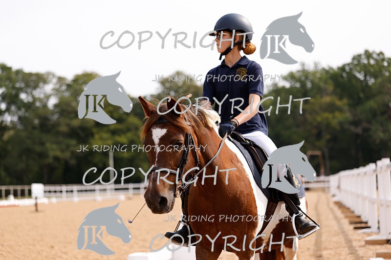_R6A2299 - Dressage Morning