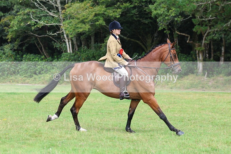 3E7A6214 - Working Hunter Championship