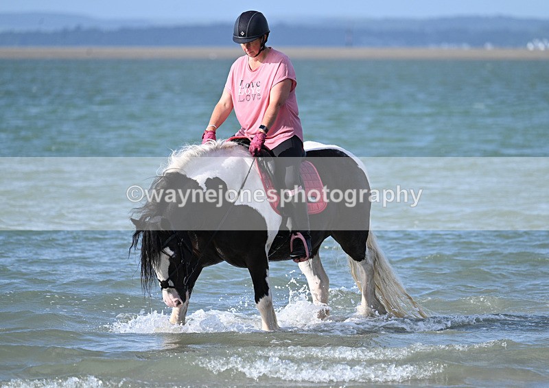 WJ7_4171 - Kellie & Churchill ... do Hayling Island 25-08-24
