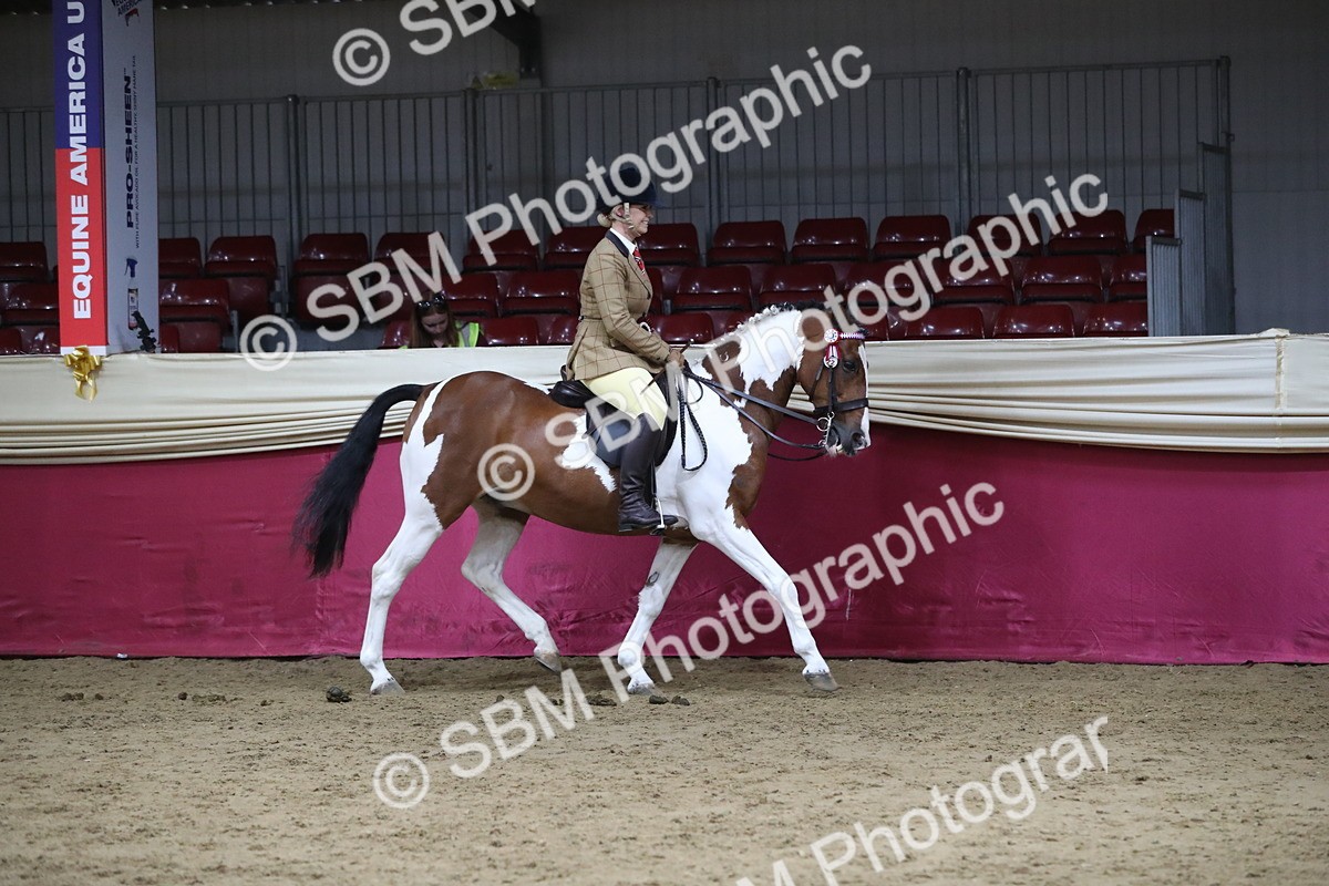 SBM_08493 - Class 11R Regional Ridden Veteran