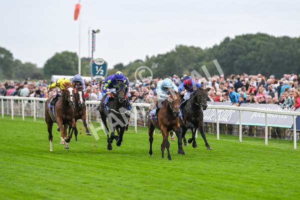 200825-Race 3-Pride Of Arras-1451 - Race 3 3.00pm Sky Bet Great Voltigeur Stakes