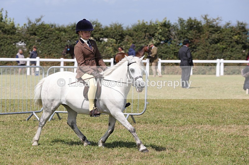 1X9A5439 - Class 37: NPS M&M First Ridden