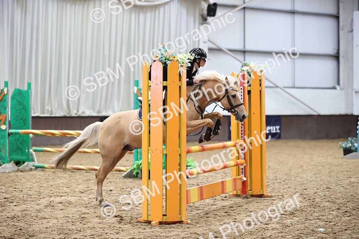 SBM_003560 - Class 11 - Springboard 128cm 138cm Restricted 85cm 95cm