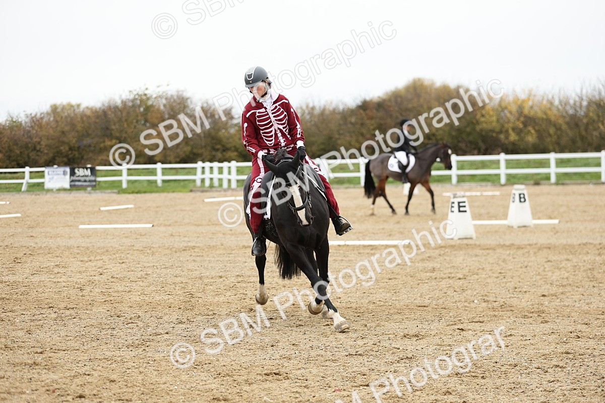 SBM_003700 - Class 9-12 - Novice 2 Elementary 3