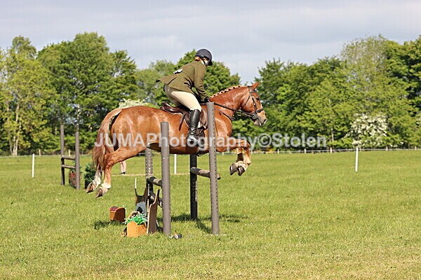 IMG_4879 - Working Hunter