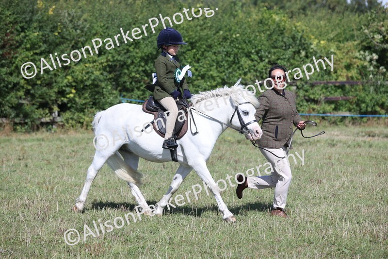 20250831-2583 - Class 16 - Family Pony