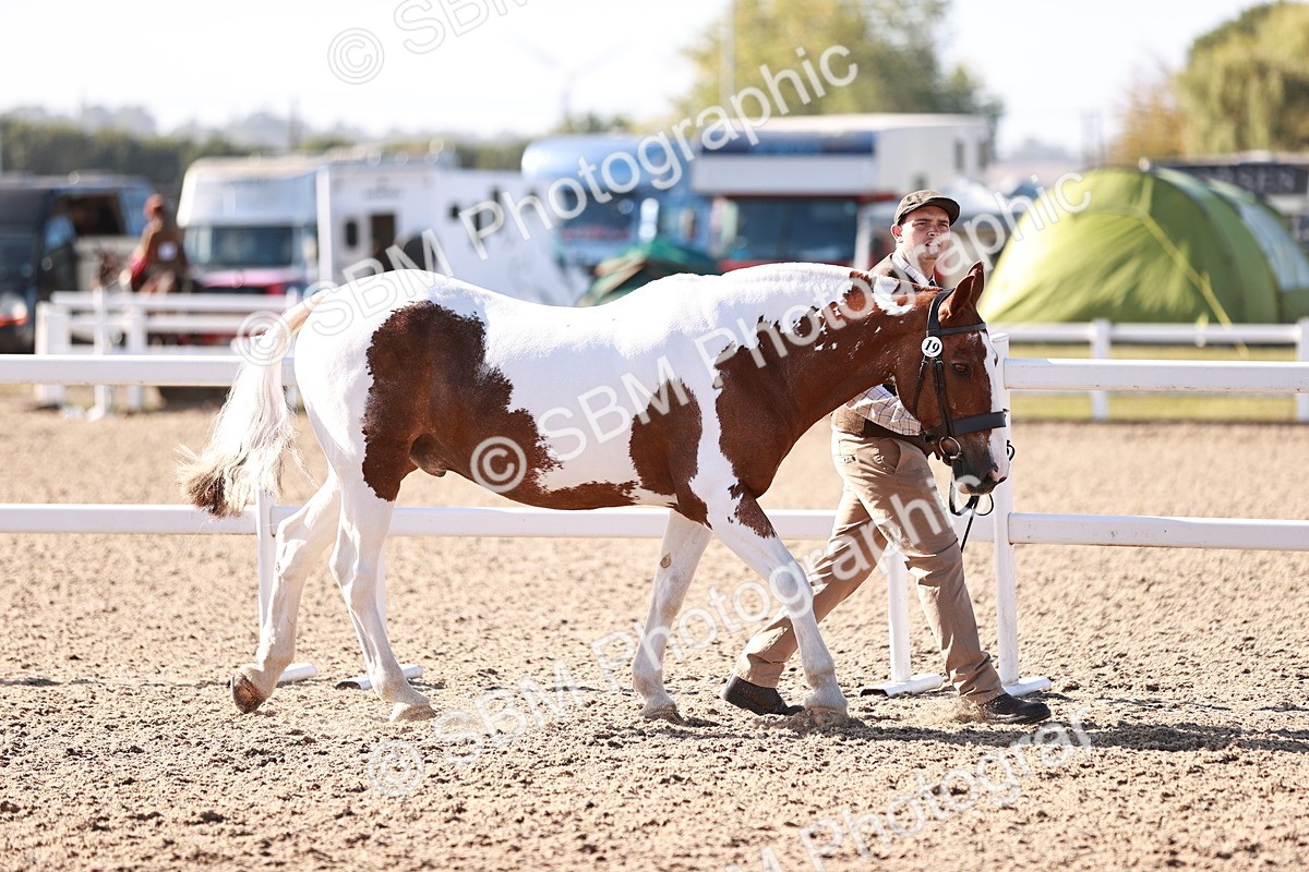 SBM_22055 - Class 703 - IH Coloured