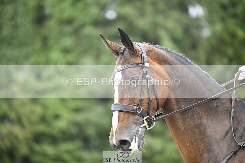 240523-153252-05246 - 436-IRENE_LEVA-Susie_Berry