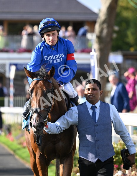 220825-282 Fifth Column - Race 7 5.20pm Sky Bet Mile Handicap