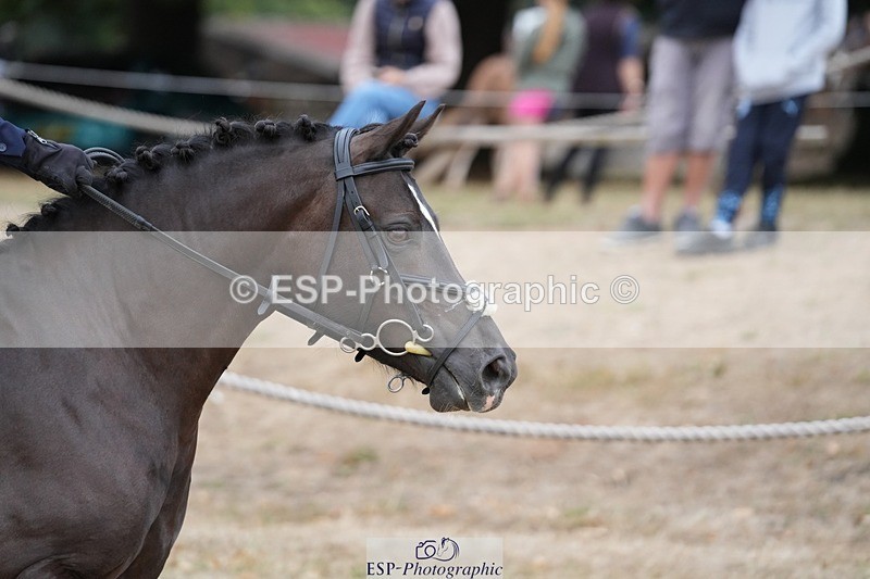 250820A-095751-02197 - Round 2, 9.45 to 10.45 Break