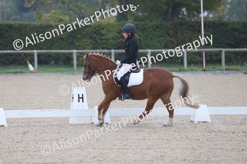 20251012-0080 - Class 1 - Prelim 5